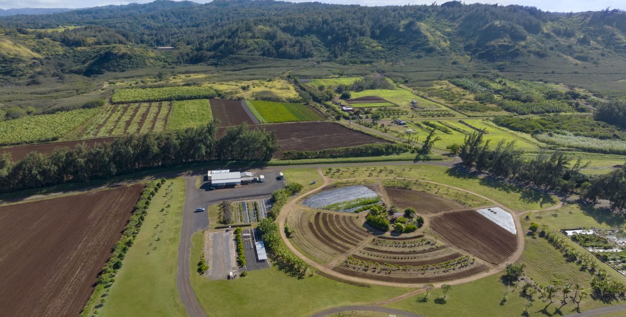 The Ritz-Carlton O_ahu, Turtle Bay_19163